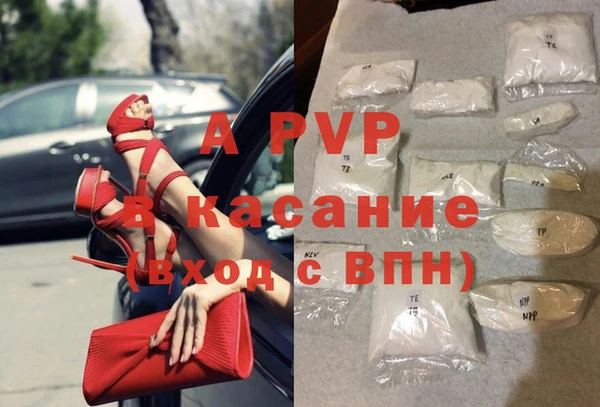 индика Протвино