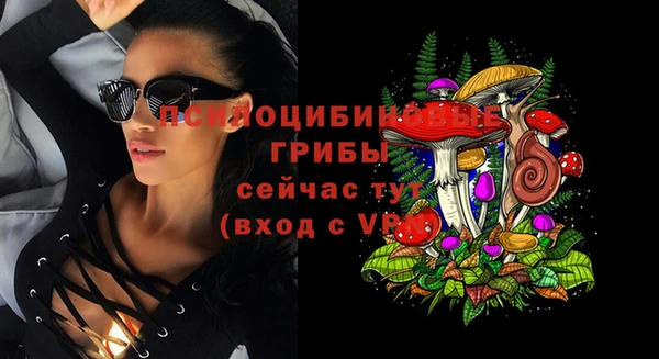 трава Алексин