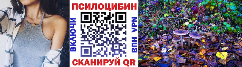 Псилоцибиновые грибы ЛСД  как найти закладки  Заводоуковск 