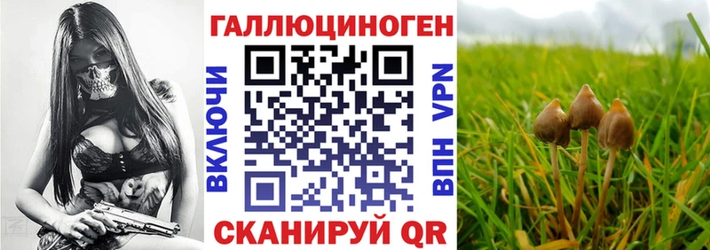 Галлюциногенные грибы Cubensis Заводоуковск